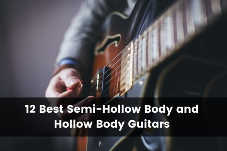 12 Best Semi-Hollow and Hollow Body Guitars