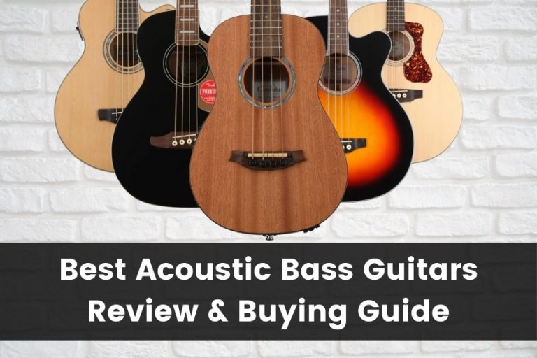 The 10 Best Acoustic Bass Guitars