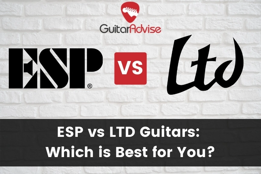 ESP vs LTD Guitars