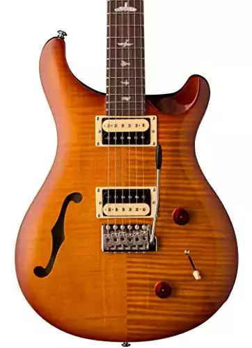 PRS Paul Reed Smith SE Custom 22 Semi-Hollow Electric Guitar