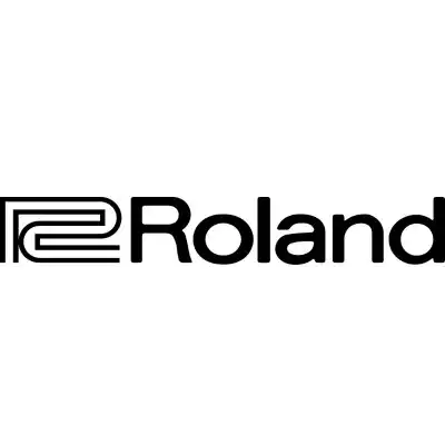 Roland Guitar Amps